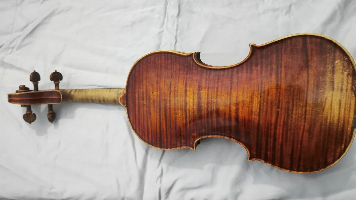 violin - Image 4
