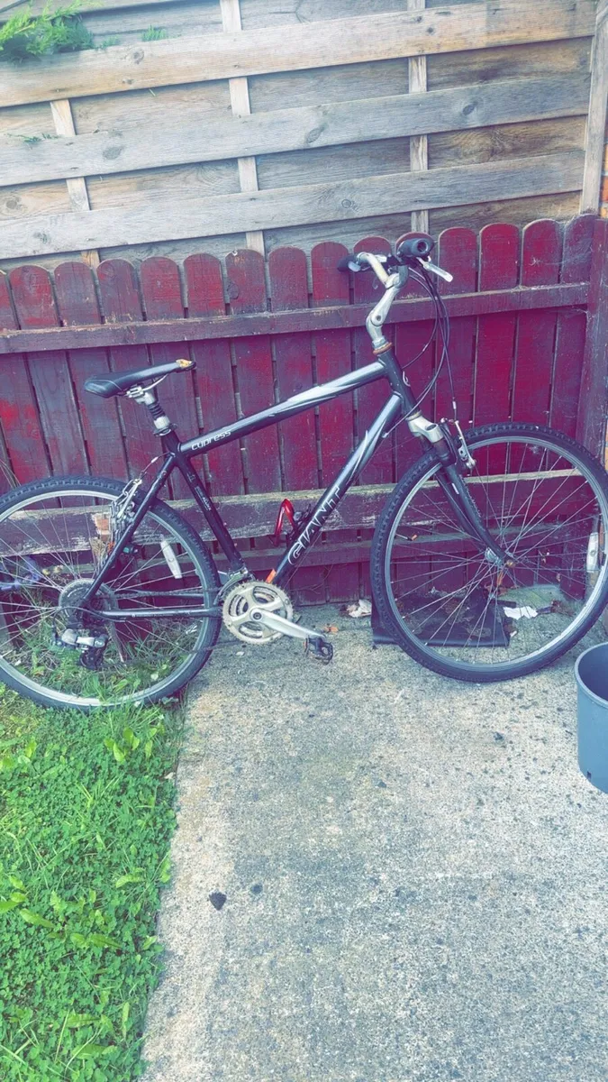 Adult bike