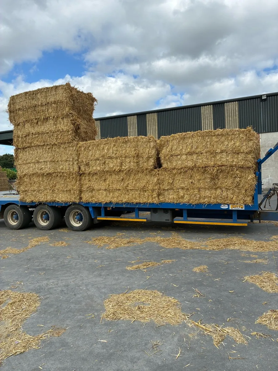 Straw - Image 2