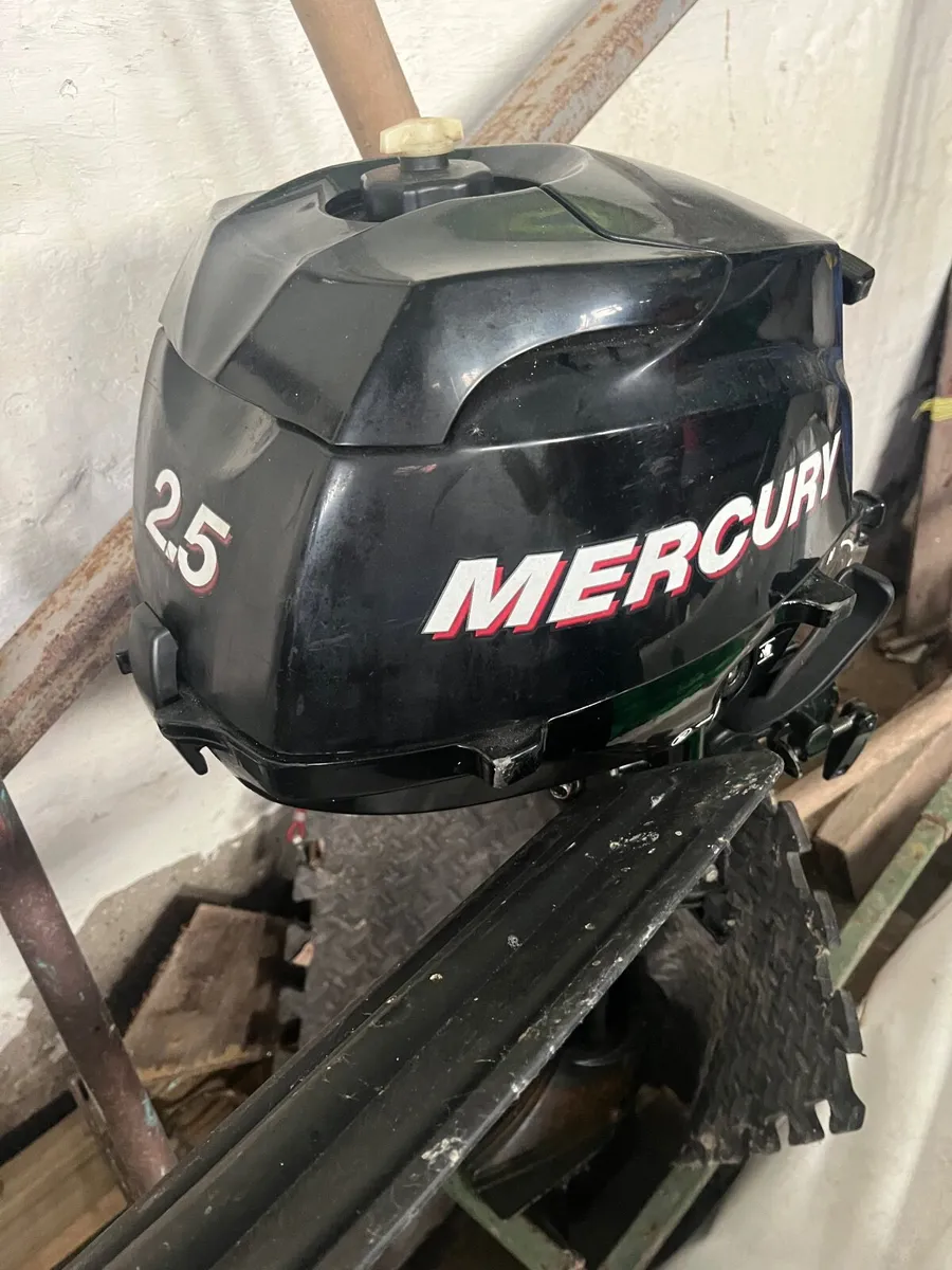 Dinghy and outboard engine - Image 2