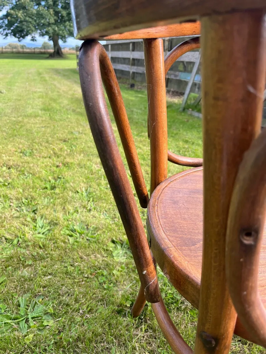Edwardian bentwood armchair - Image 3