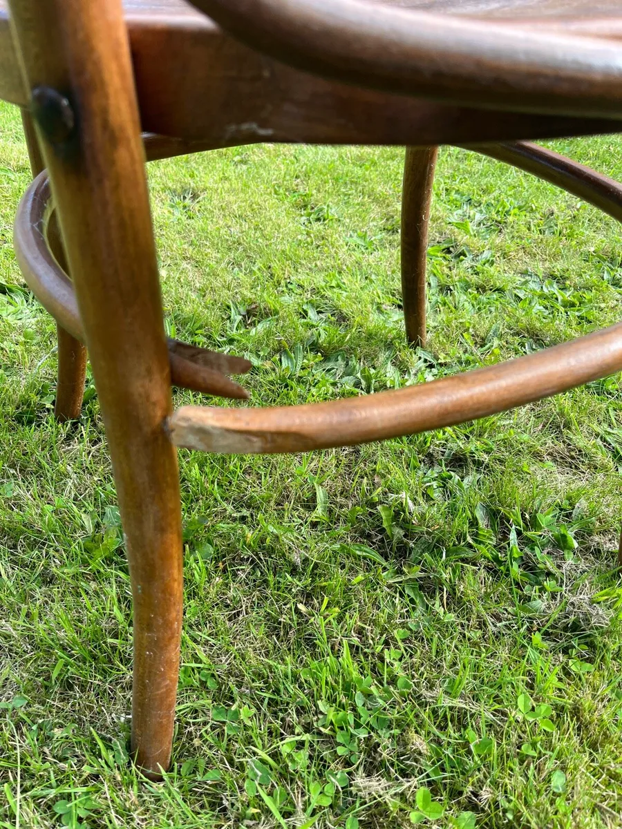 Edwardian bentwood armchair - Image 4