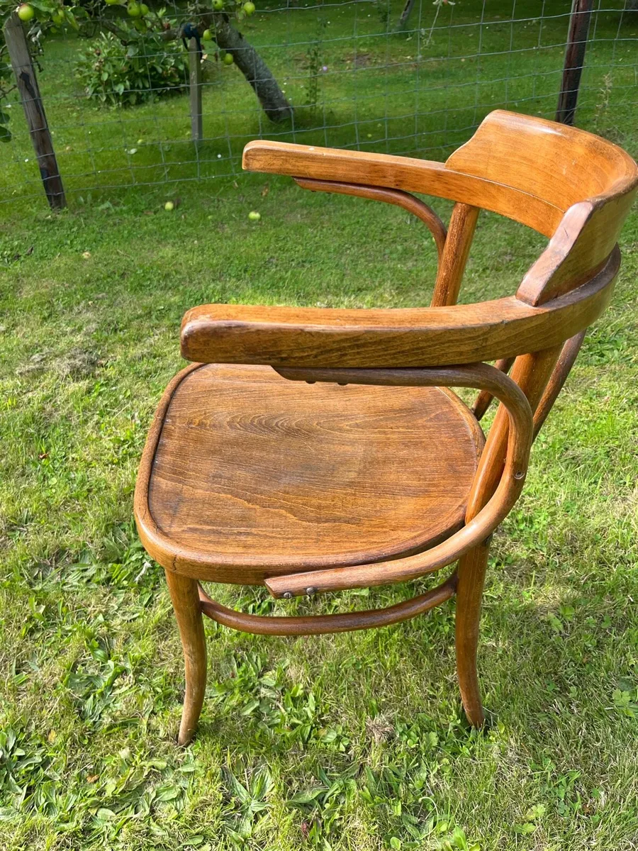 Edwardian bentwood armchair - Image 2