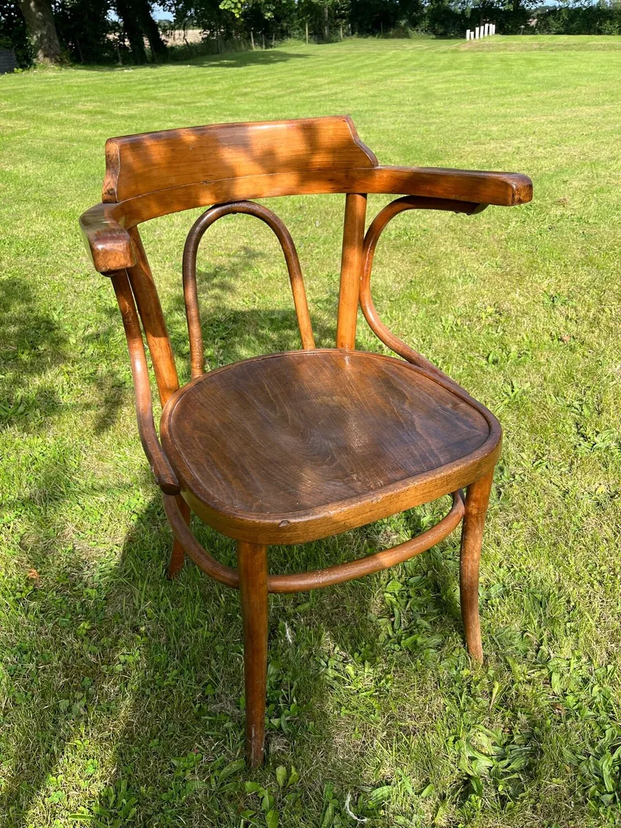 Edwardian bentwood armchair - Image 1