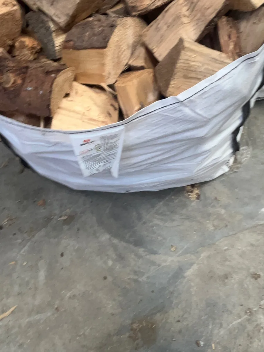 Firewood - Image 1