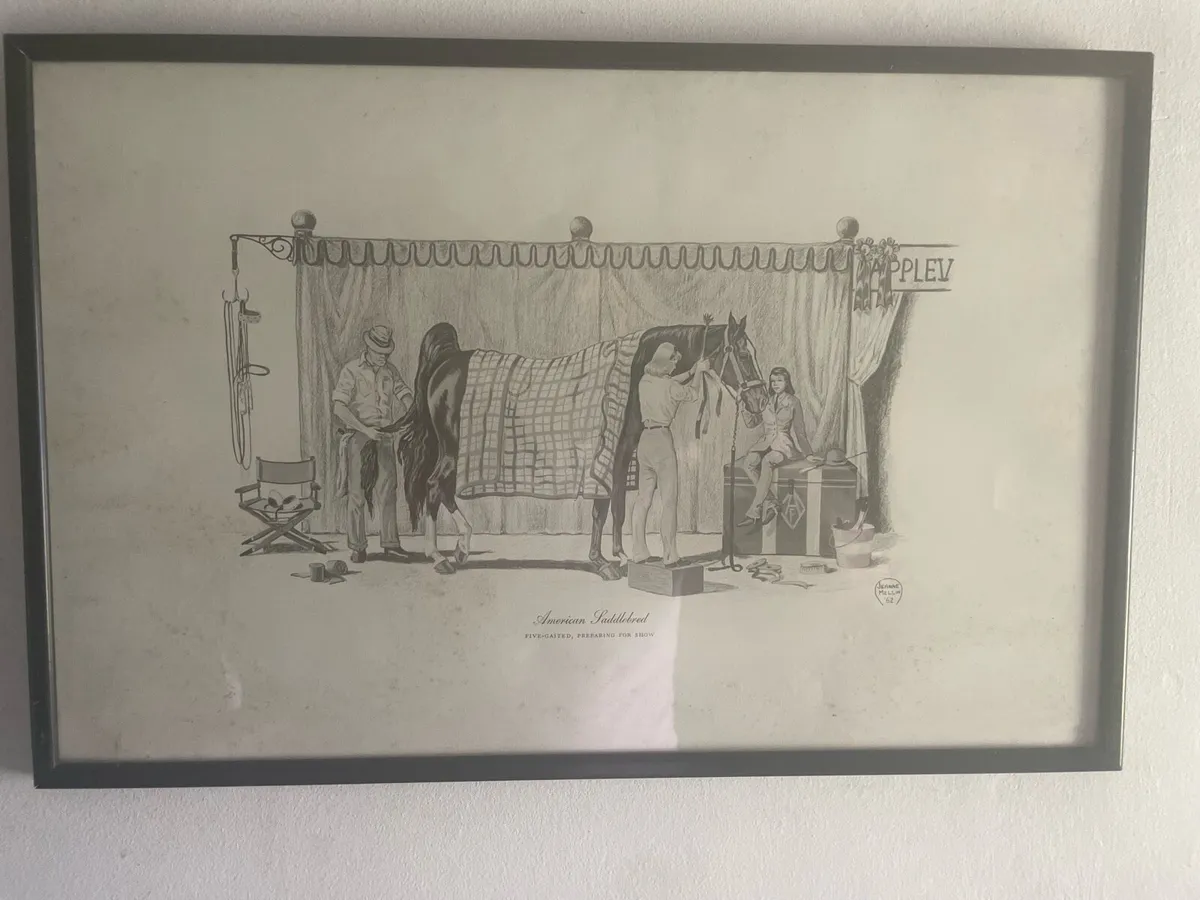 Drawing - Image 2