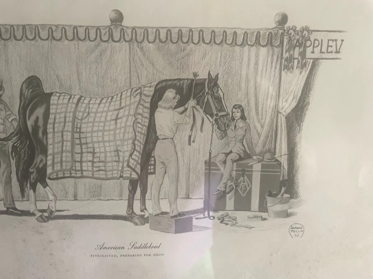 Drawing - Image 4