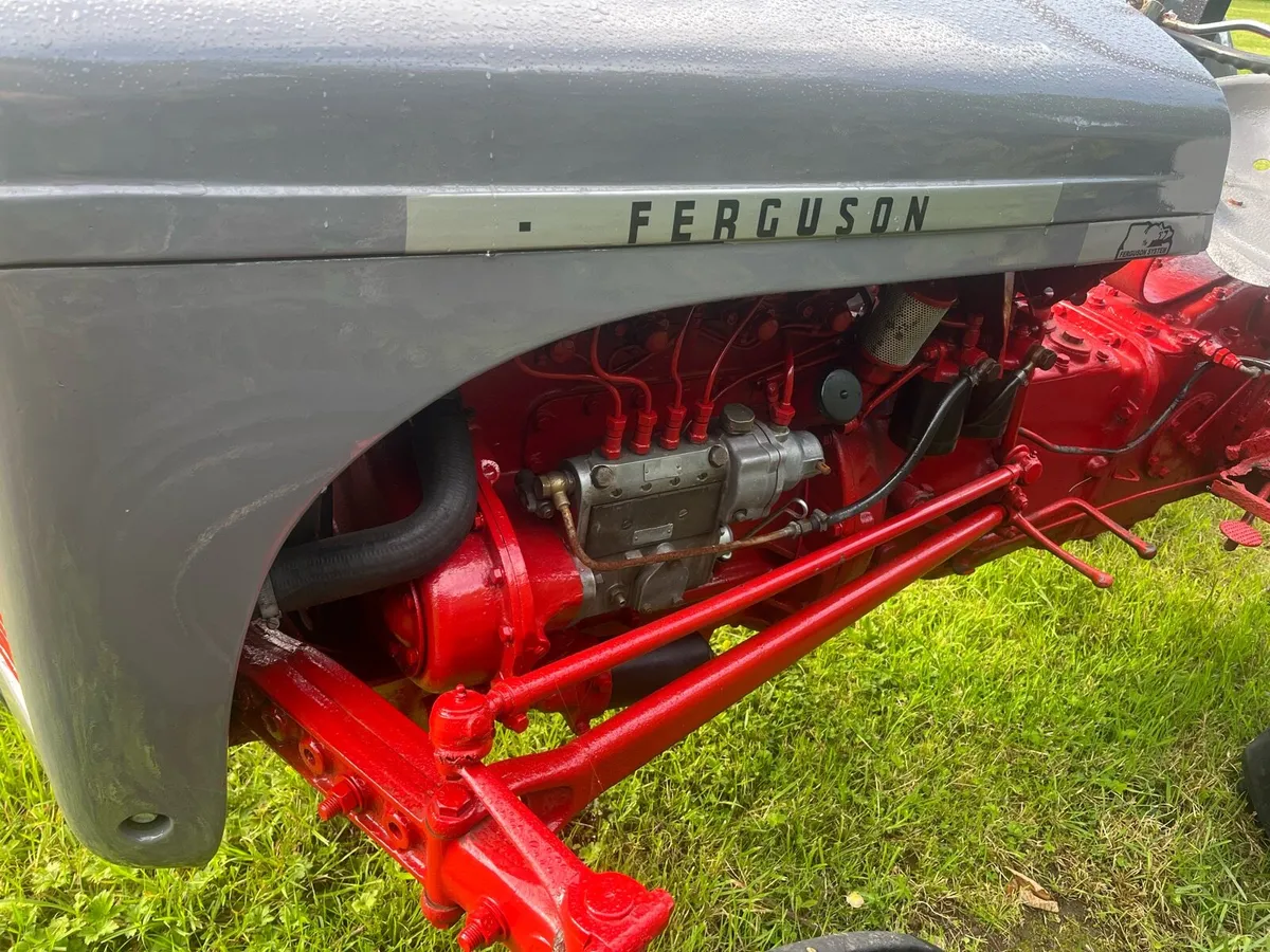 Ferguson ind 30 and 20 diesel barn find - Image 3