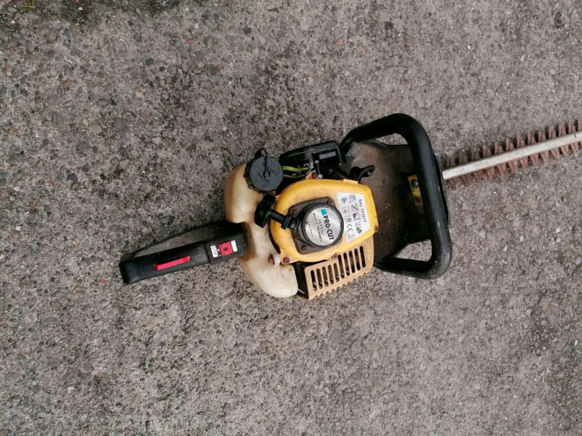 Hedge trimmers - Image 1