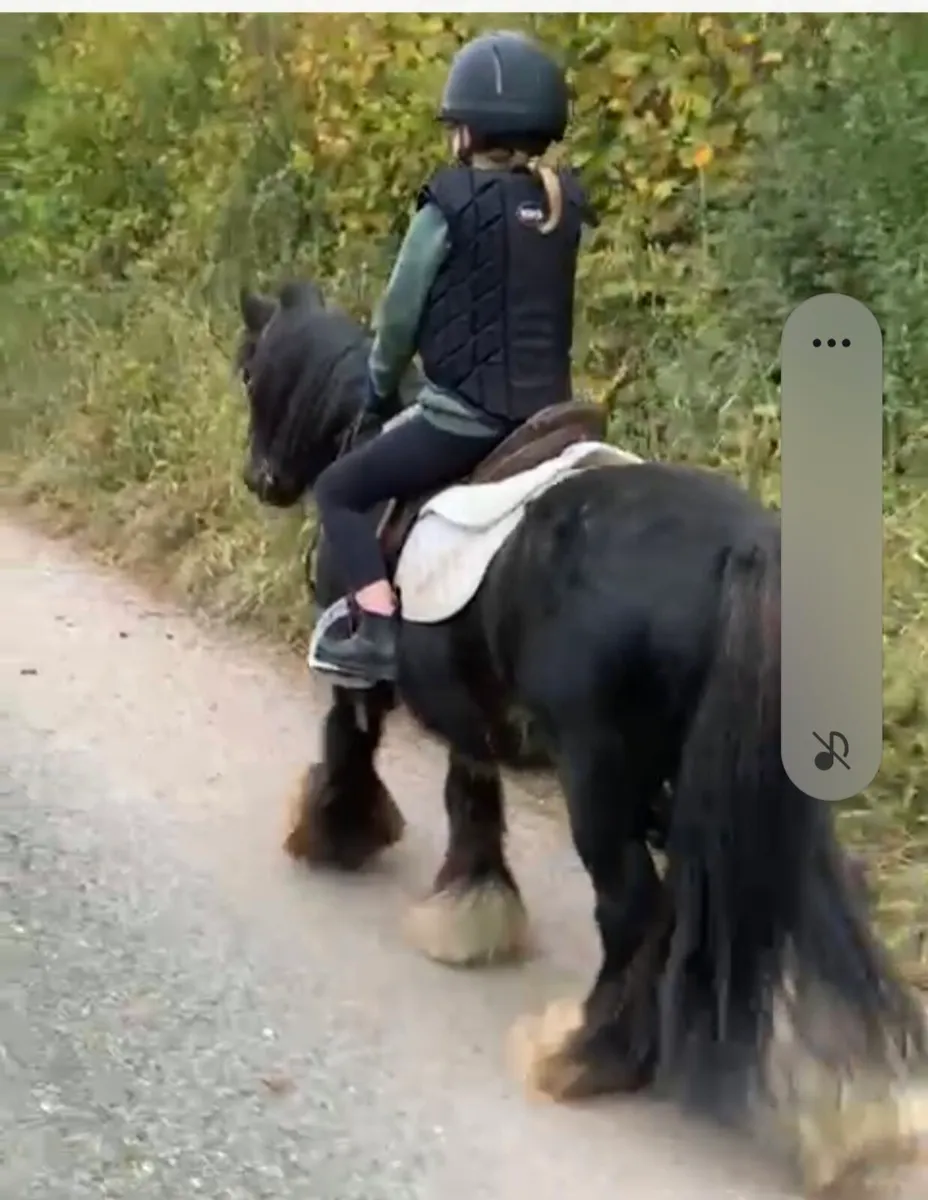 First pony - Image 2