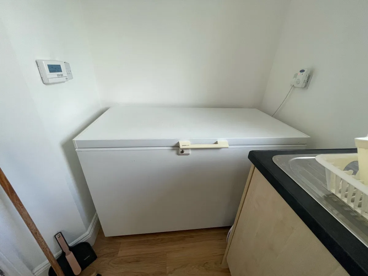 Large chest freezer - Image 1