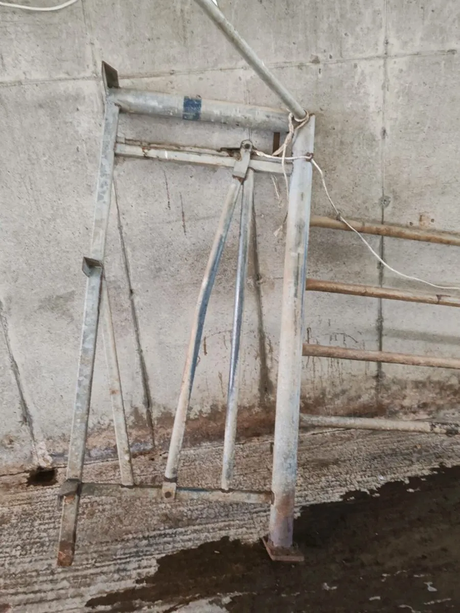 Calving Gate - Image 2