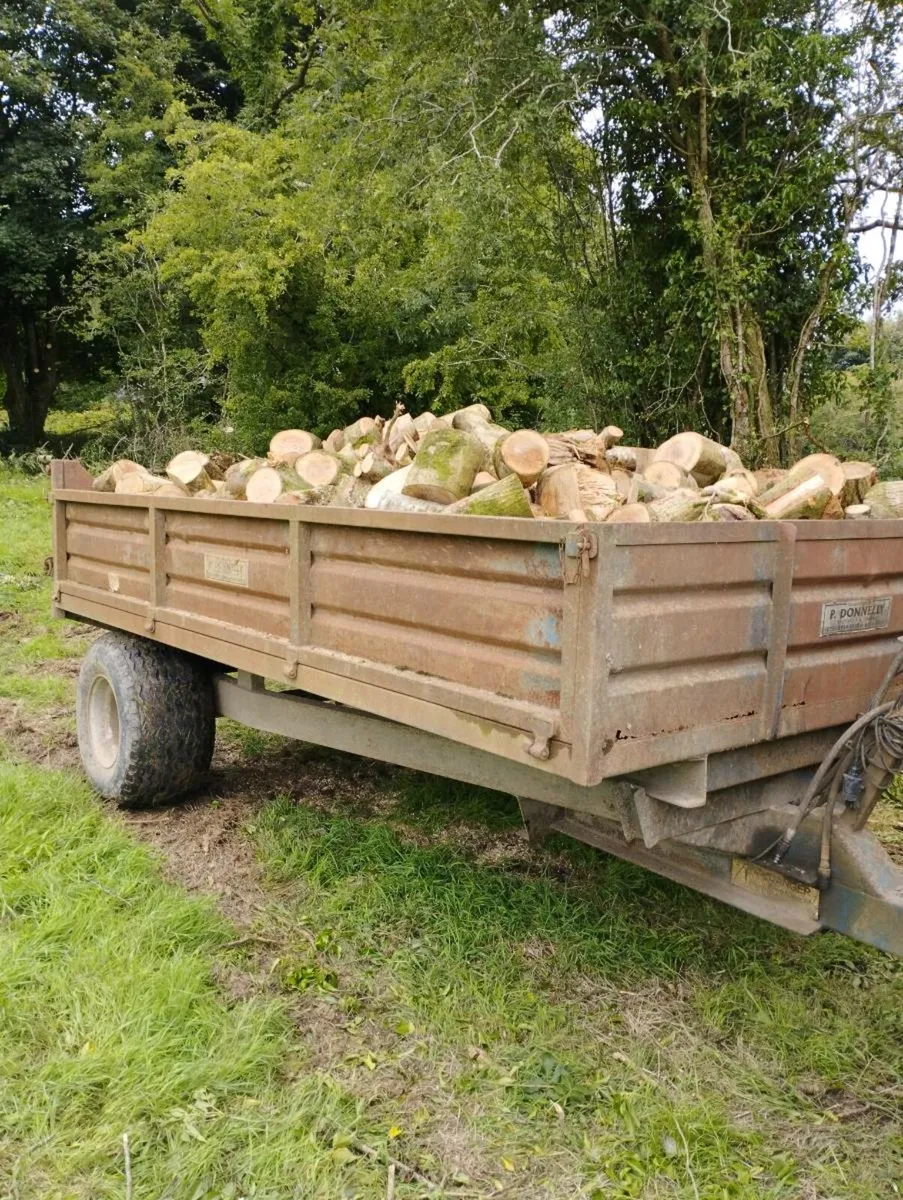 Hardwood firewood - Image 4