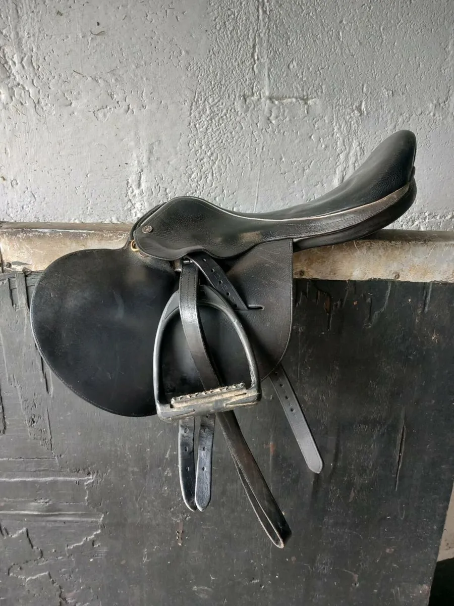 WANTED Berney Exercise Saddle or Eurosaddle