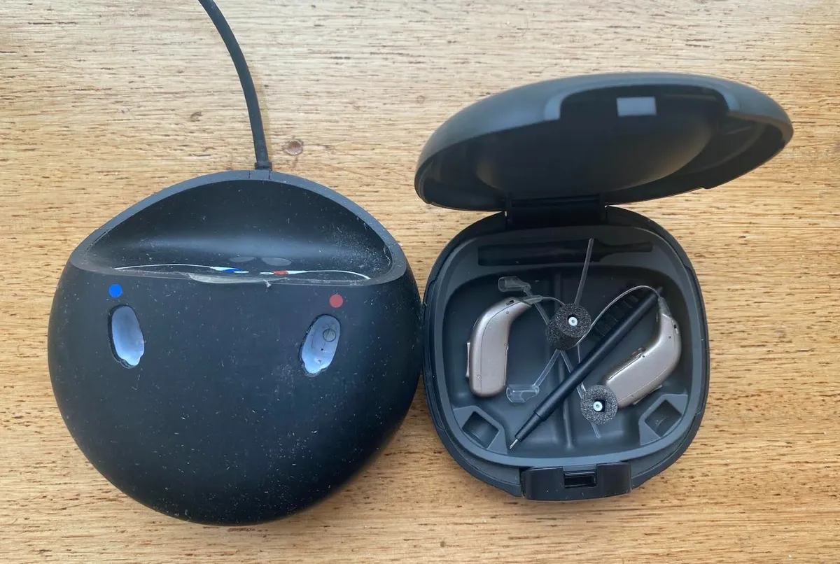 Octicon Ruby 2 hearing aids