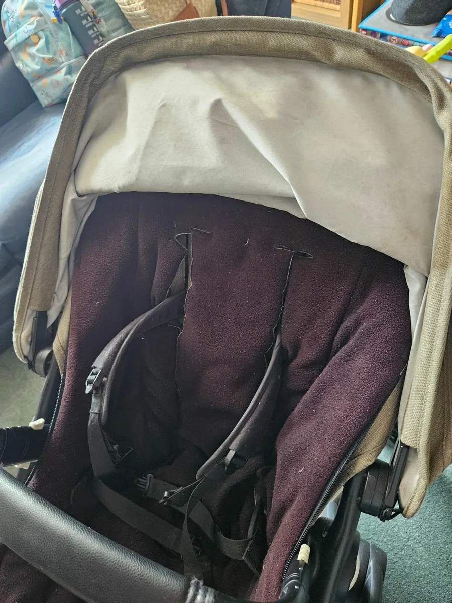Bugaboo fox - Image 4