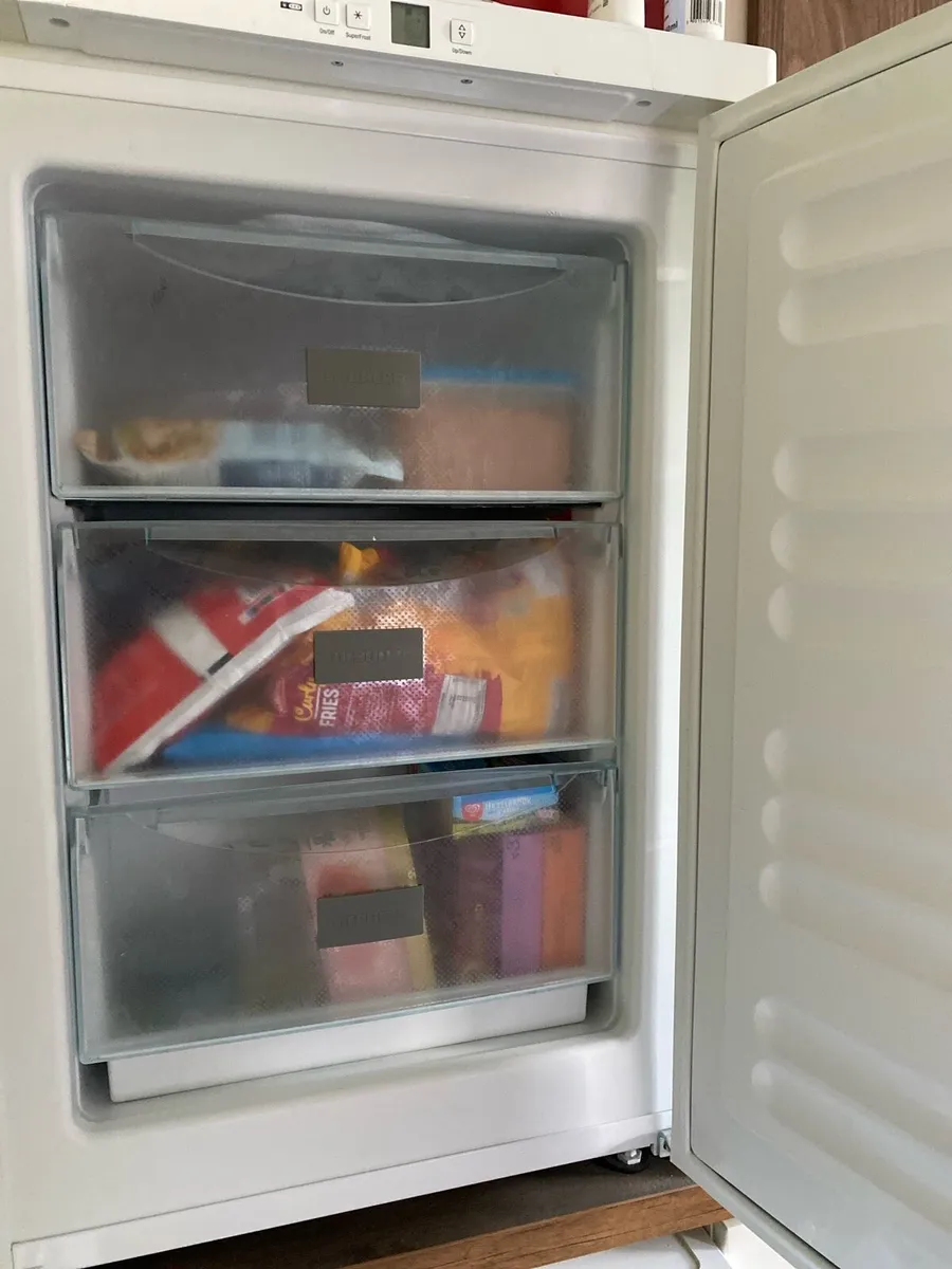 Freezer - Image 2