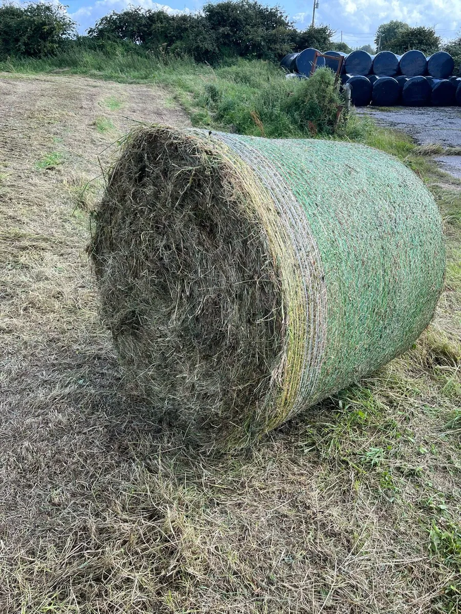 Haylage - Image 1