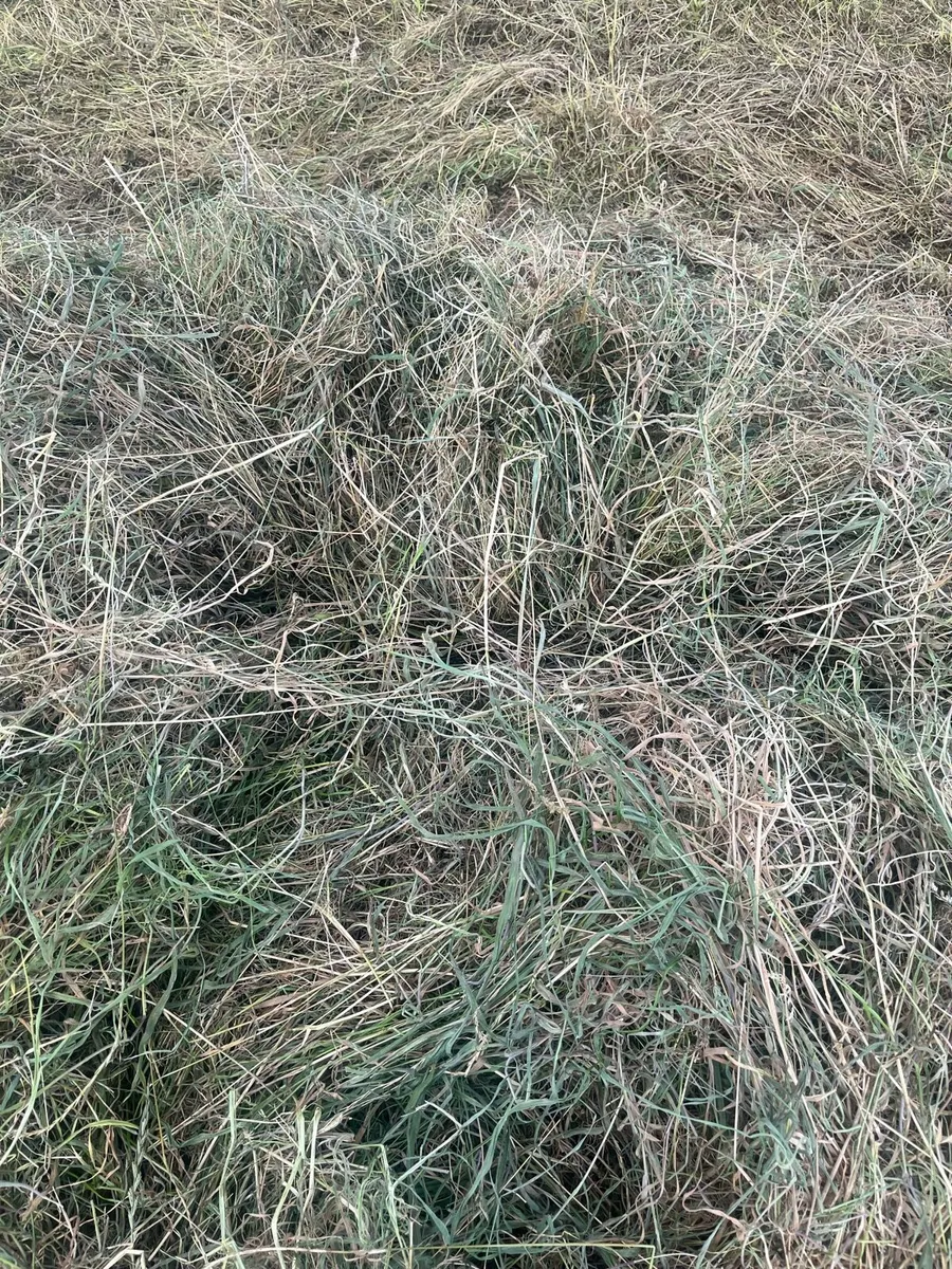 Haylage - Image 2