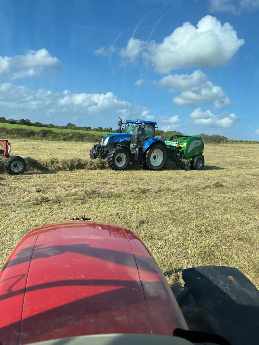 Haylage - Image 4