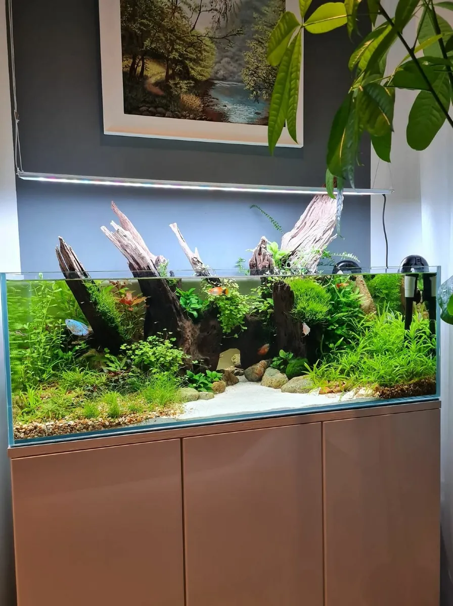 Fish tank - Image 1