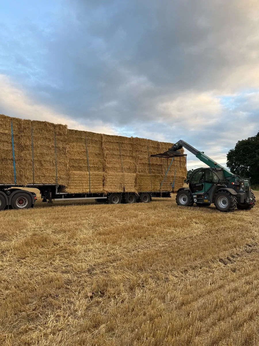 8x4x3 barley - Image 1