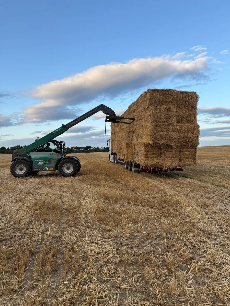 8x4x3 barley - Image 2