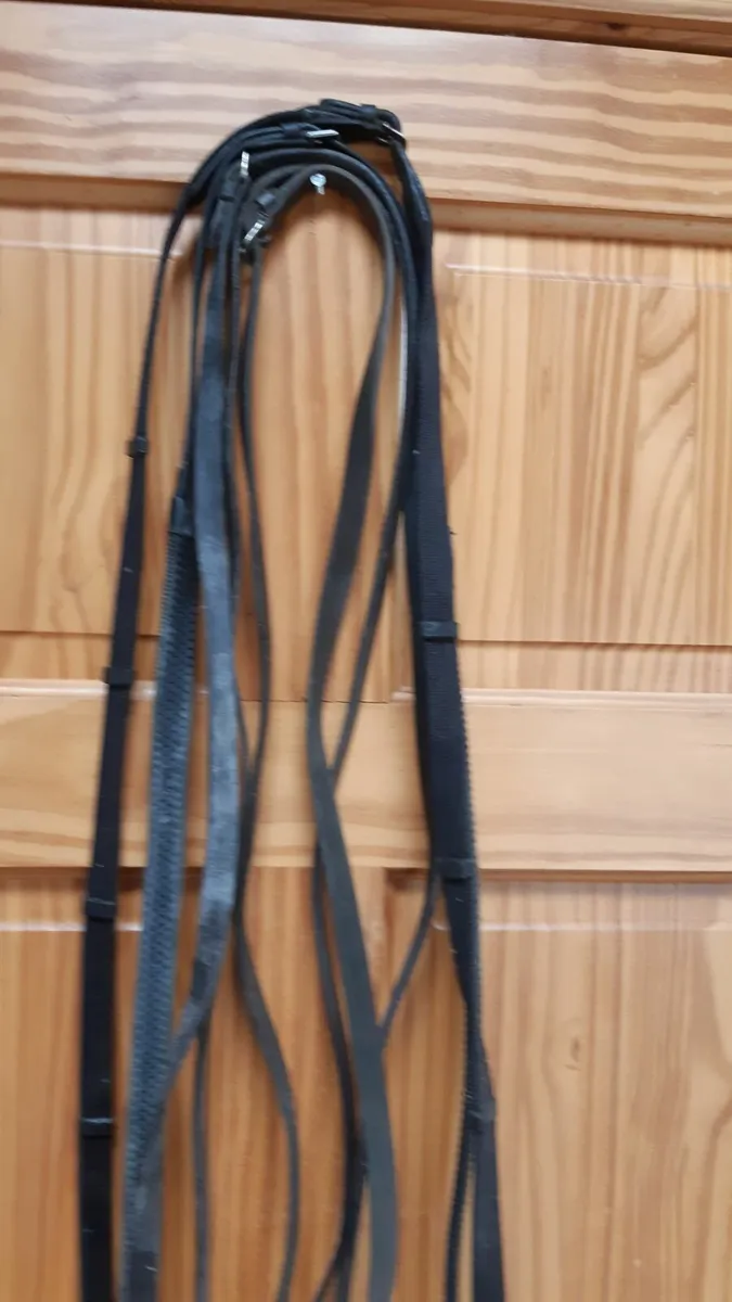 Reins, lead show rein, side reins and Tiedemann ai - Image 1