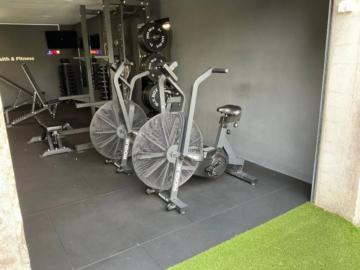 Rogue Echo Bike 3.0 - Image 1