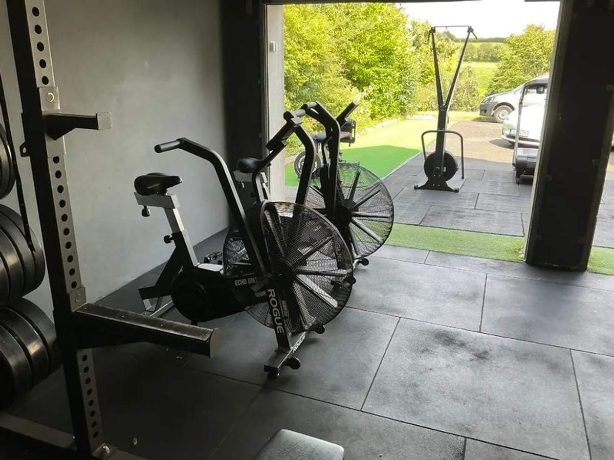 Rogue Echo Bike 3.0 - Image 2