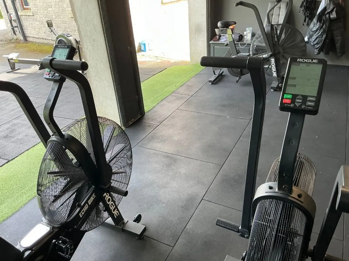 Rogue Echo Bike 3.0 - Image 3