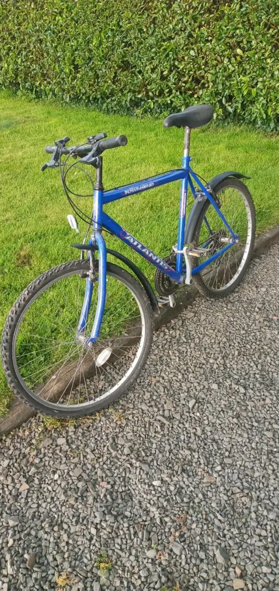 Adults bike - Image 1