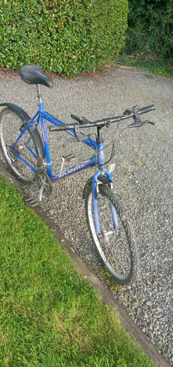 Adults bike - Image 2