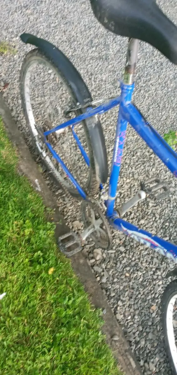 Adults bike - Image 3