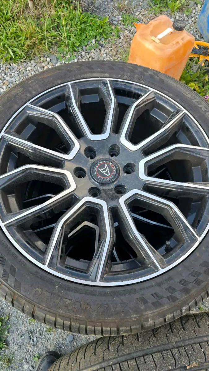 Wolfrace eurosport alloy