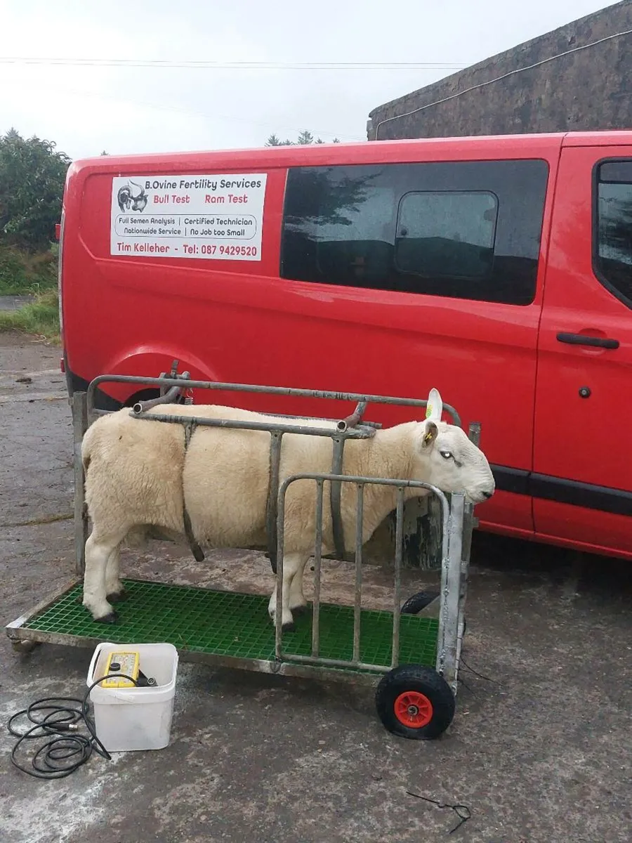 Ram testing - Image 2