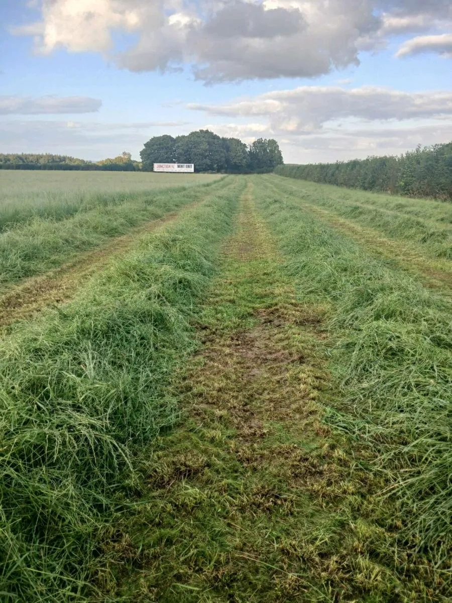 Round bales of Haylage - Image 1