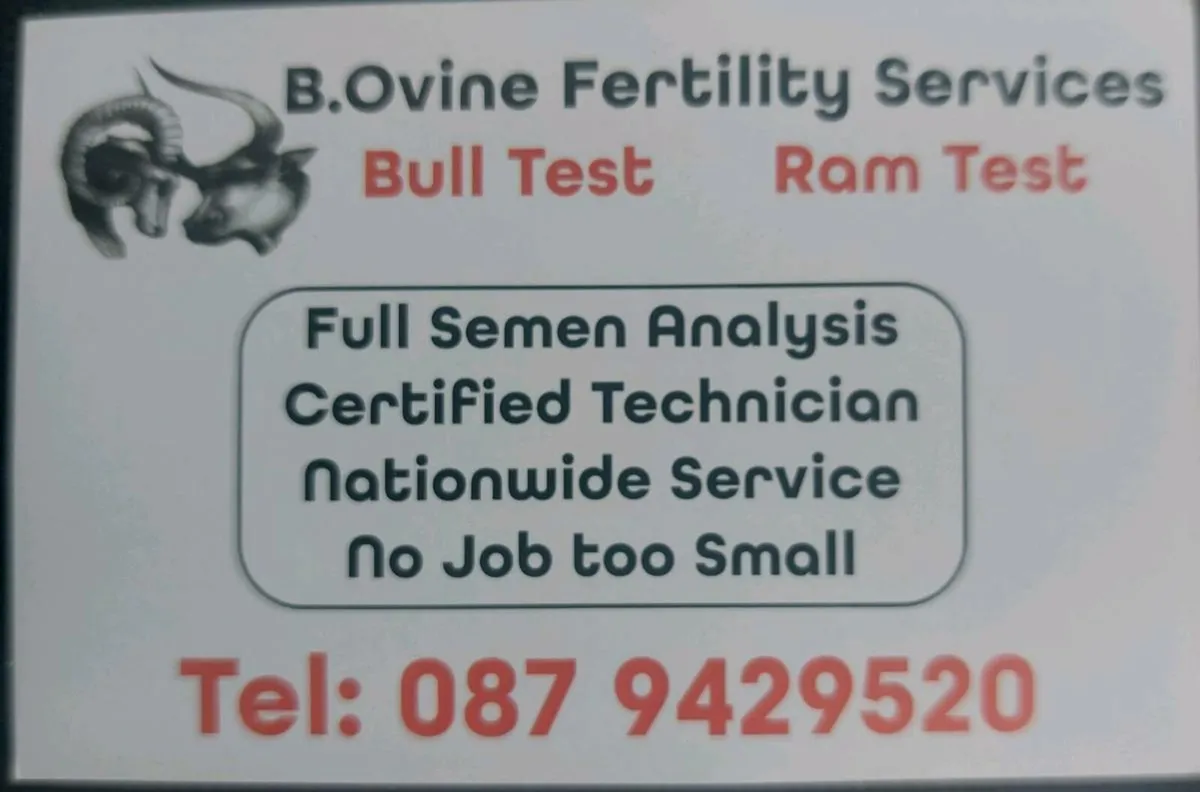 Ram testing - Image 3
