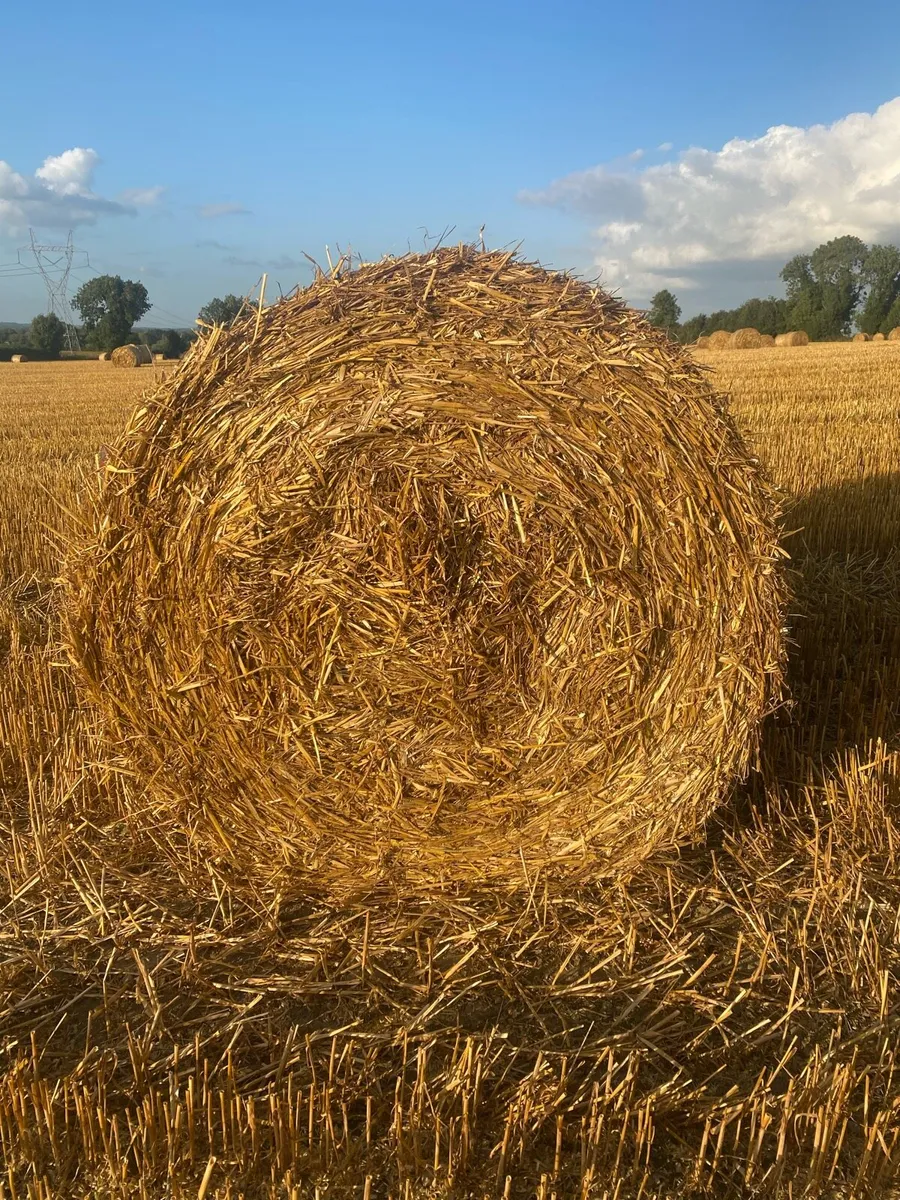 Oaten straw 4x4 - Image 1