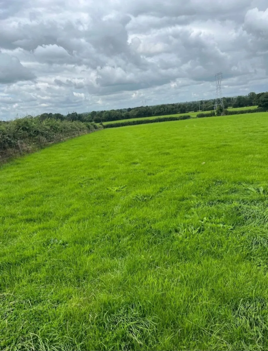 Grass available for grazing sheep only