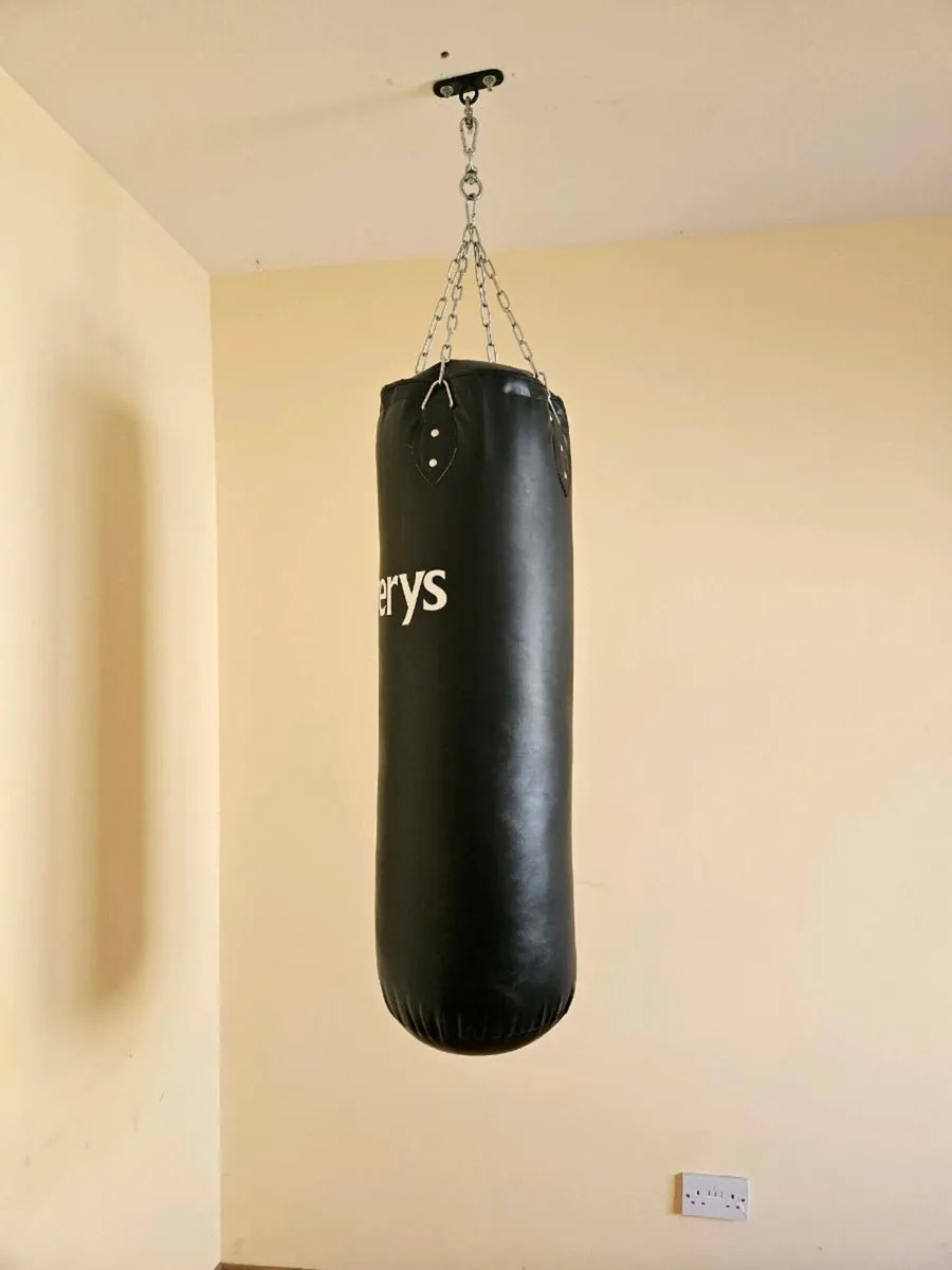 Elverys Punch Bag - Image 1