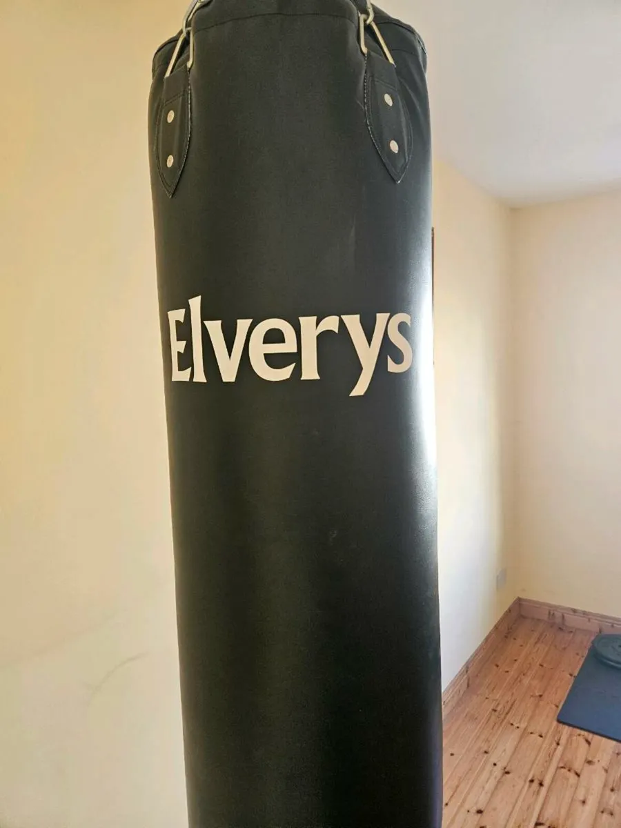 Elverys Punch Bag - Image 2