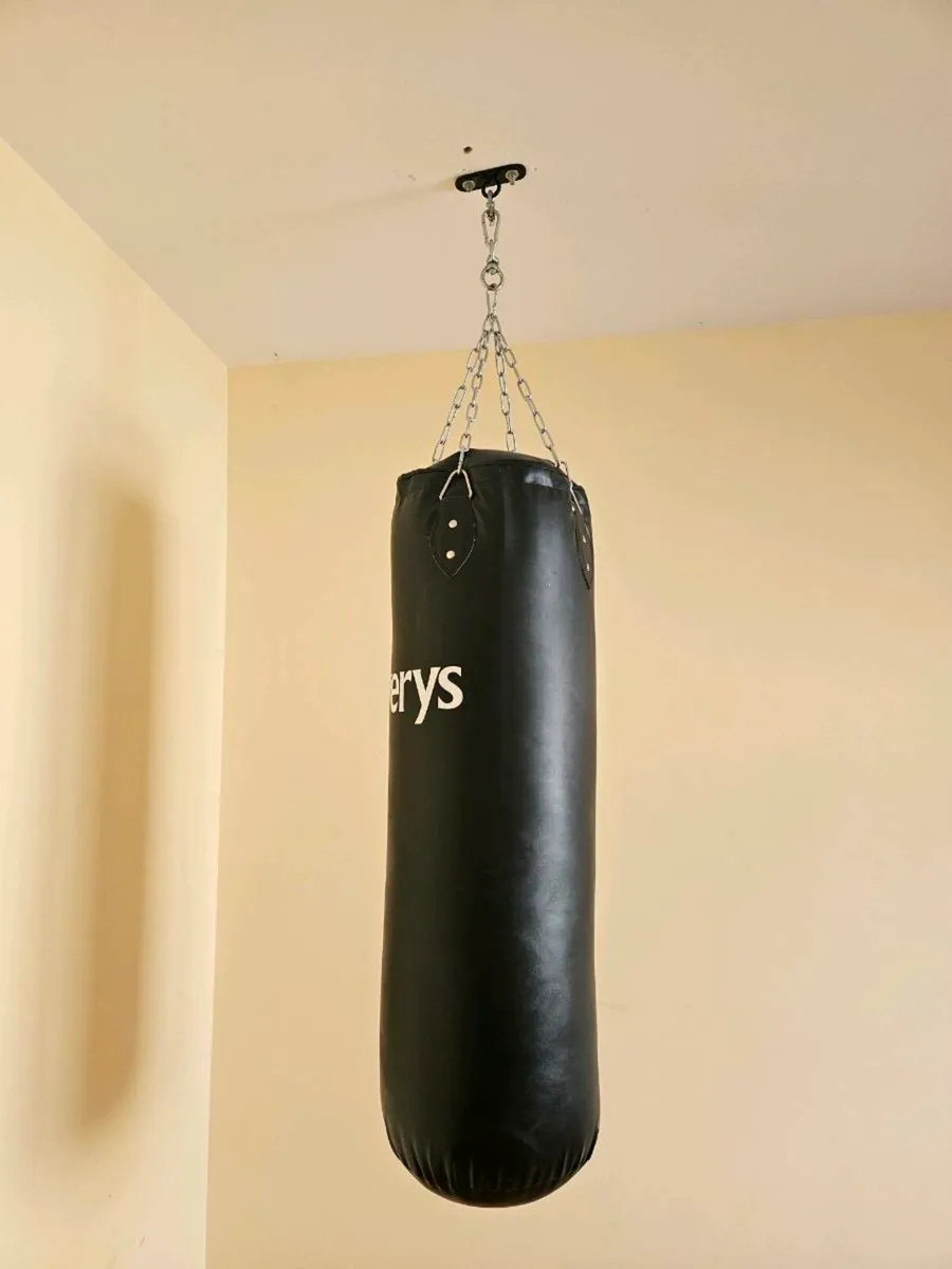 Elverys Punch Bag - Image 4
