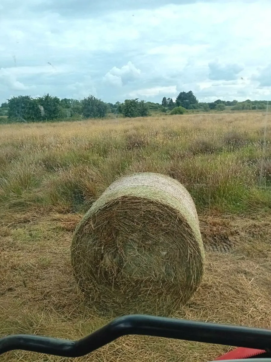 Bales of bedding