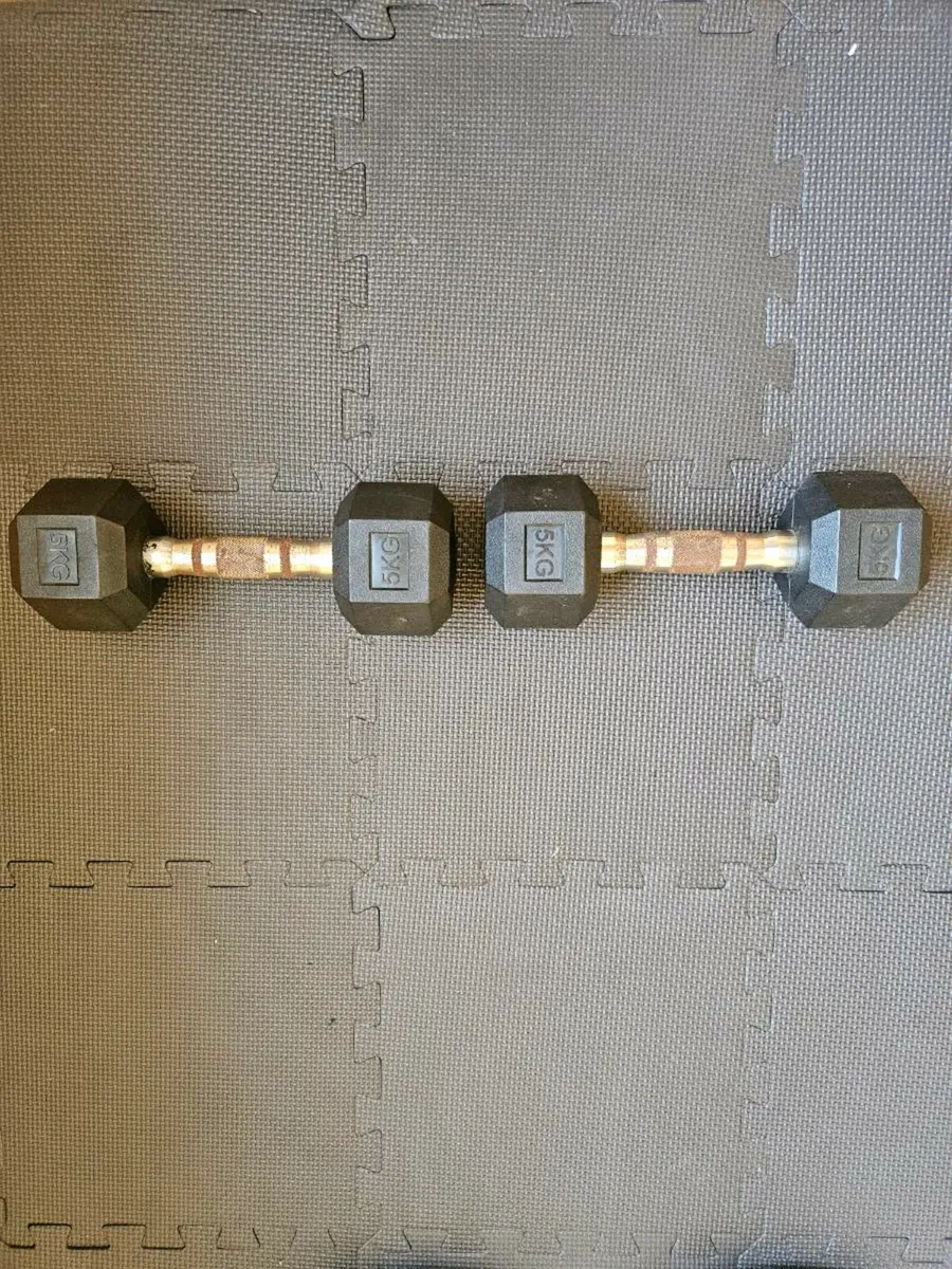 2x 5kg Dumbbells - Image 1