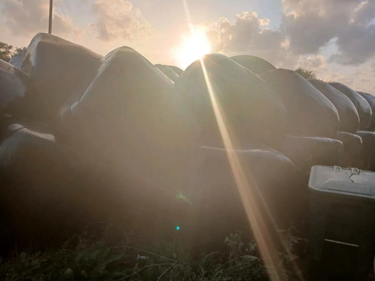 Silage bales