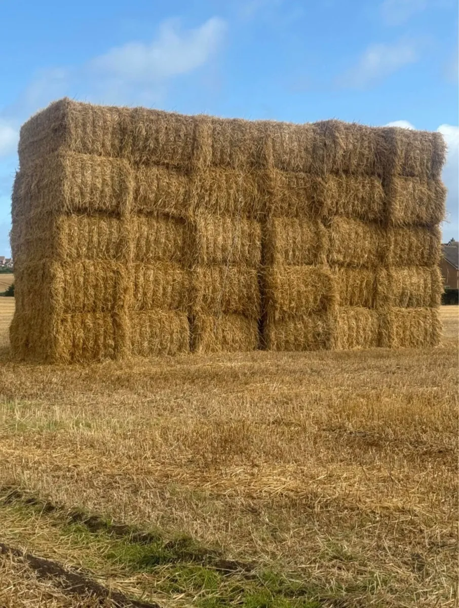 Straw bales