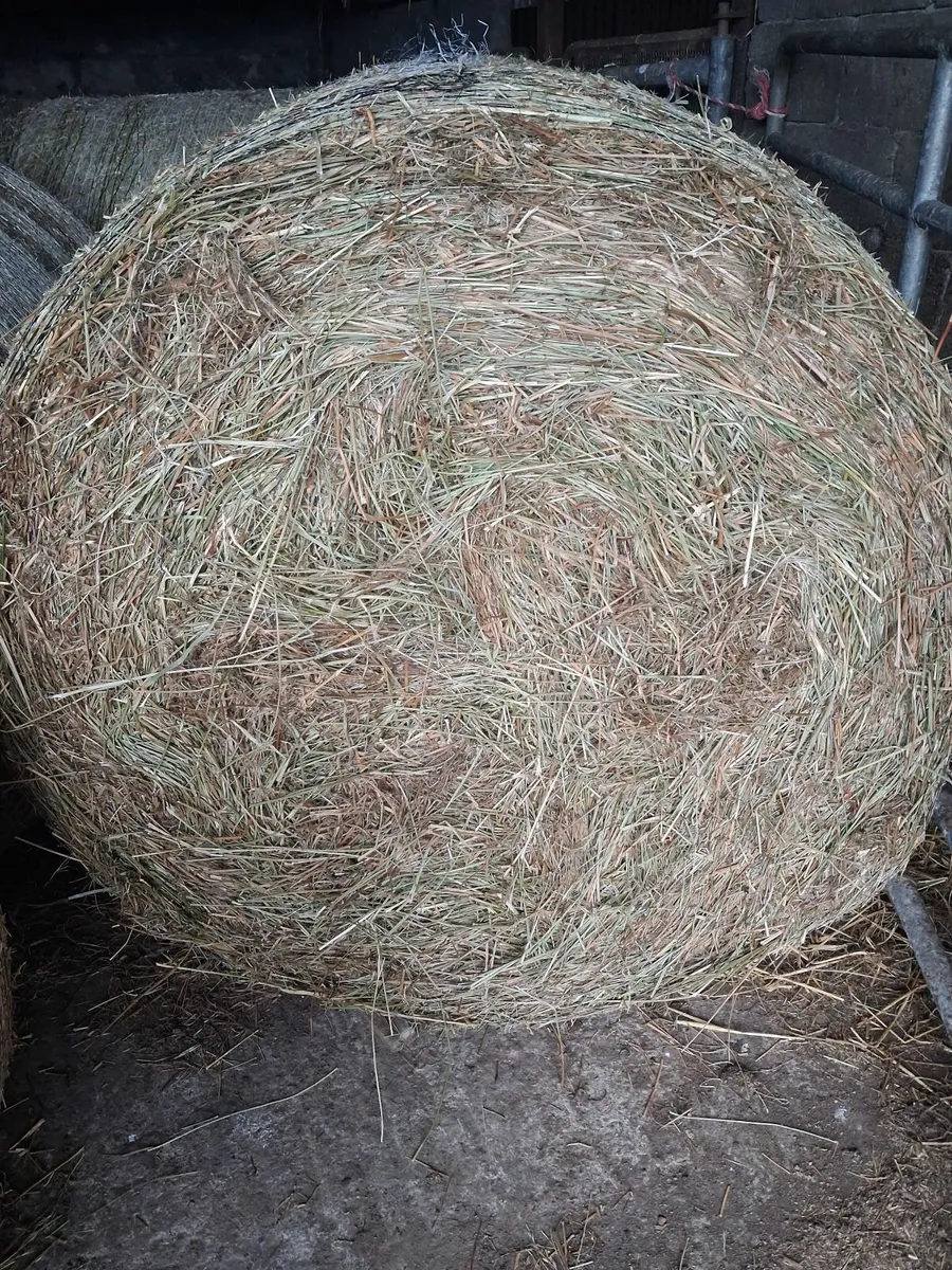Coarse hay bedding - Image 1