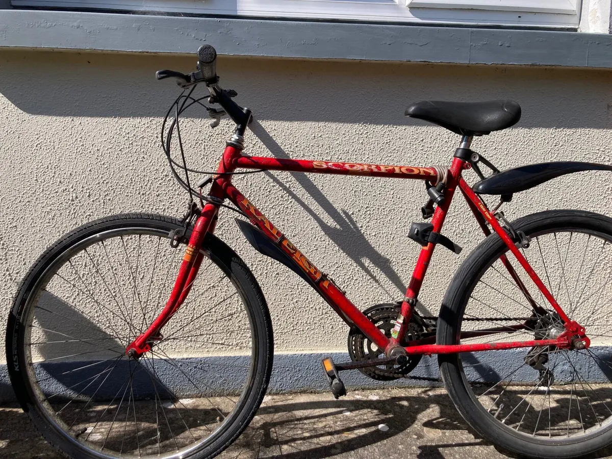 Bicycles x 2 - Image 2