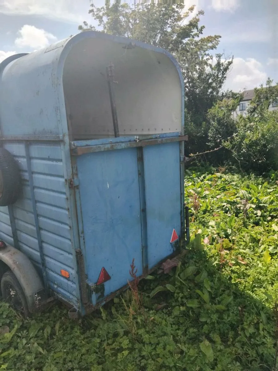 horse box x2 - Image 2
